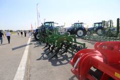 Mini IMG 0334
